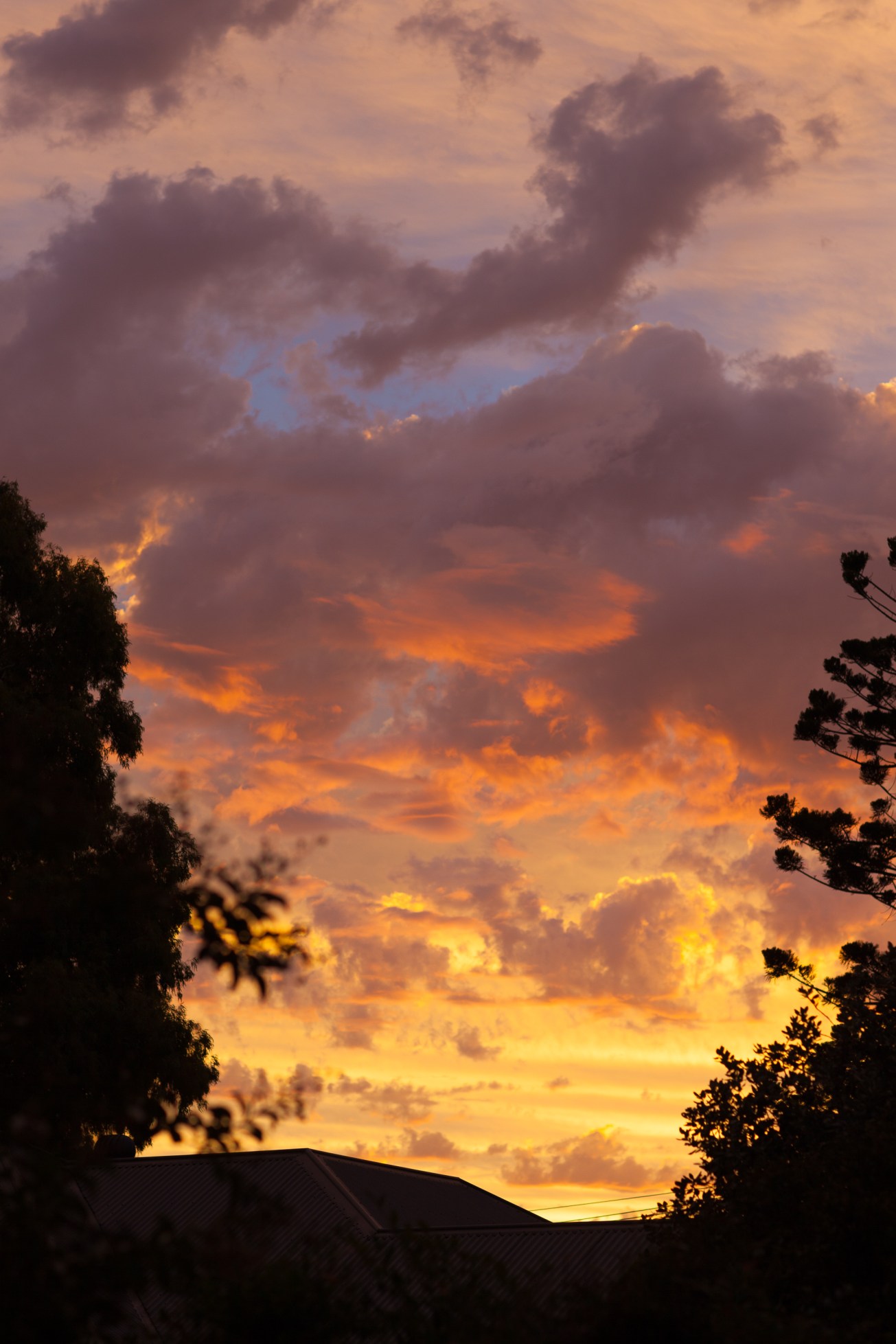 Kate Potter Photography AJ-94