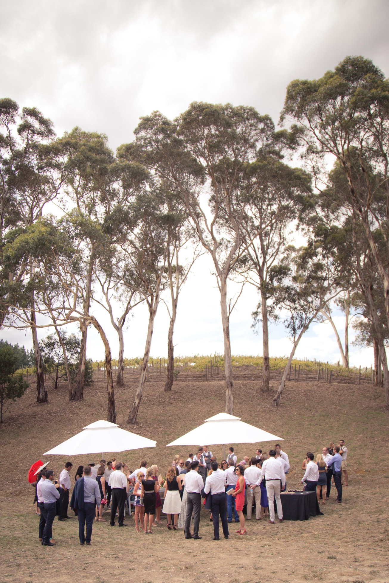 Kate Potter Photography MS-37