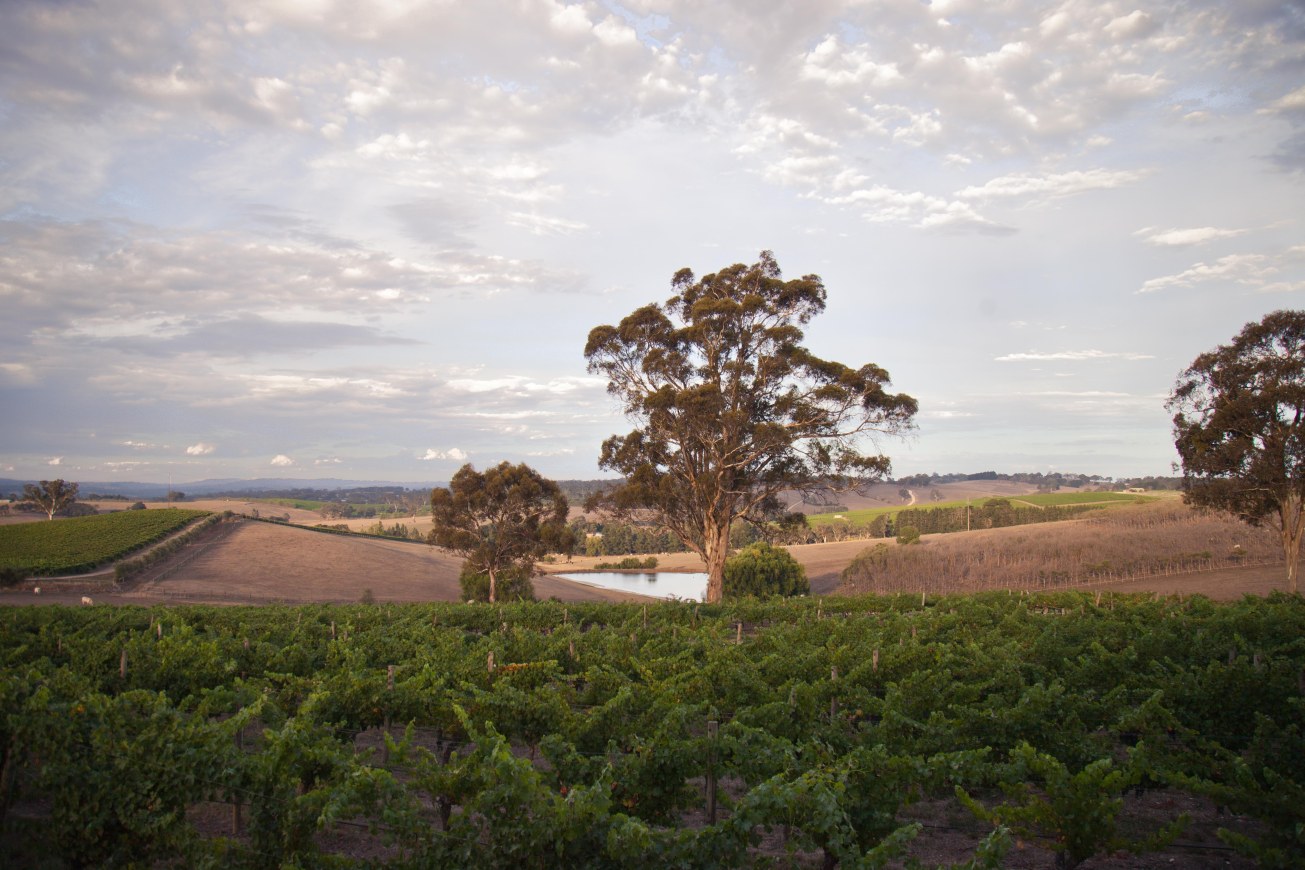 Kate Potter Photography MS-99