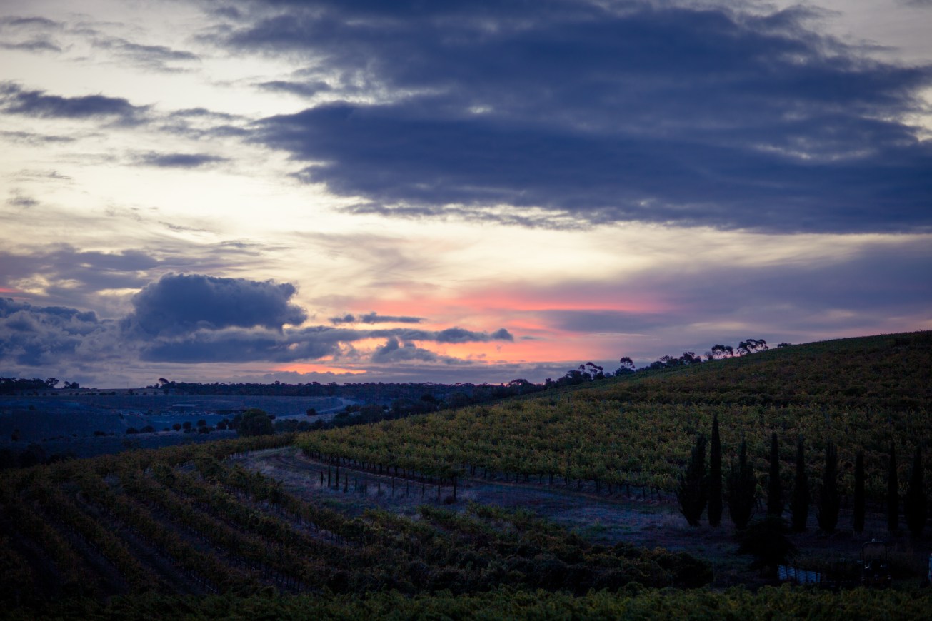 Kate Potter Photography LT-56